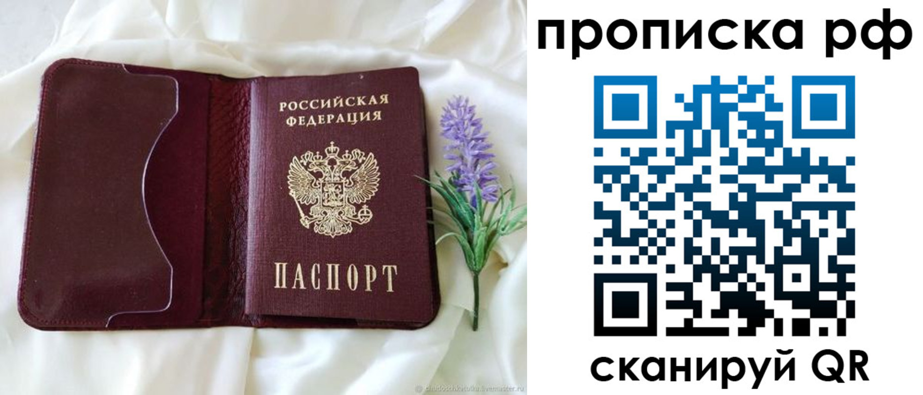 временная регистрация адрес в Светлограде